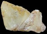 Dogtooth Calcite Crystal - Morocco #50164-1